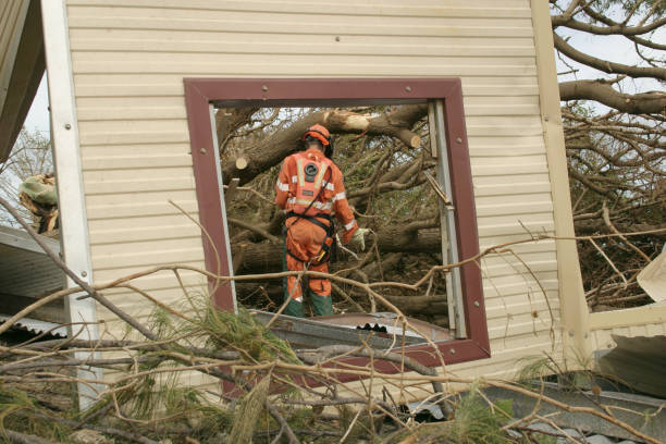 Best Hazardous Tree Removal  in Dunmore, PA